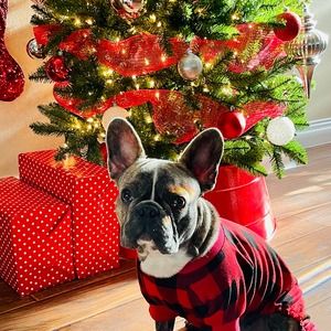 Meet your Posher, Carol